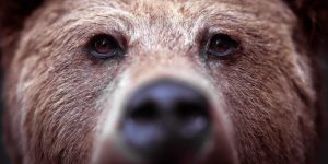 U.S. stocks may bounce this week, but summer selloff is only halfway done, analysts warn