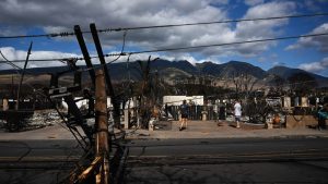 Hawaiian Electric stock plunges 40% after lawsuit alleges it failed to shut power off ahead of the Maui wildfires