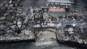 Fears of predatory land grabs mount in the ashes of Maui, opening old wounds