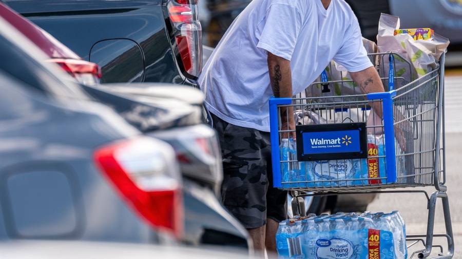 Walmart sales rise as inflation keeps consumers hunting for bargains