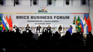 Brics emerging markets summit begins in Johannesburg
