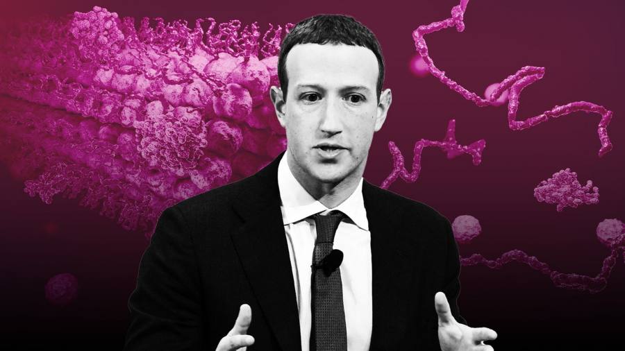 Meta disbands protein-folding team in shift towards commercial AI