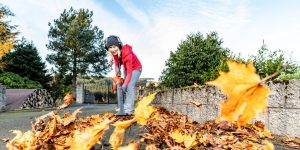 Keep your finances on track for the rest of the year with this 6-step fall money clean-up