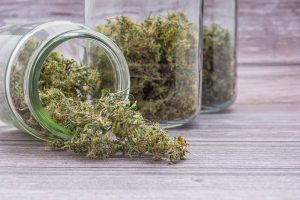 I Was Wrong: Tilray Is A Strong Sell (Ratings Downgrade) (NASDAQ:TLRY)