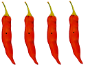 chili peppers