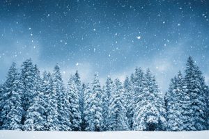 Snowflake: AI Blizzard In The Forecast (NYSE:SNOW)
