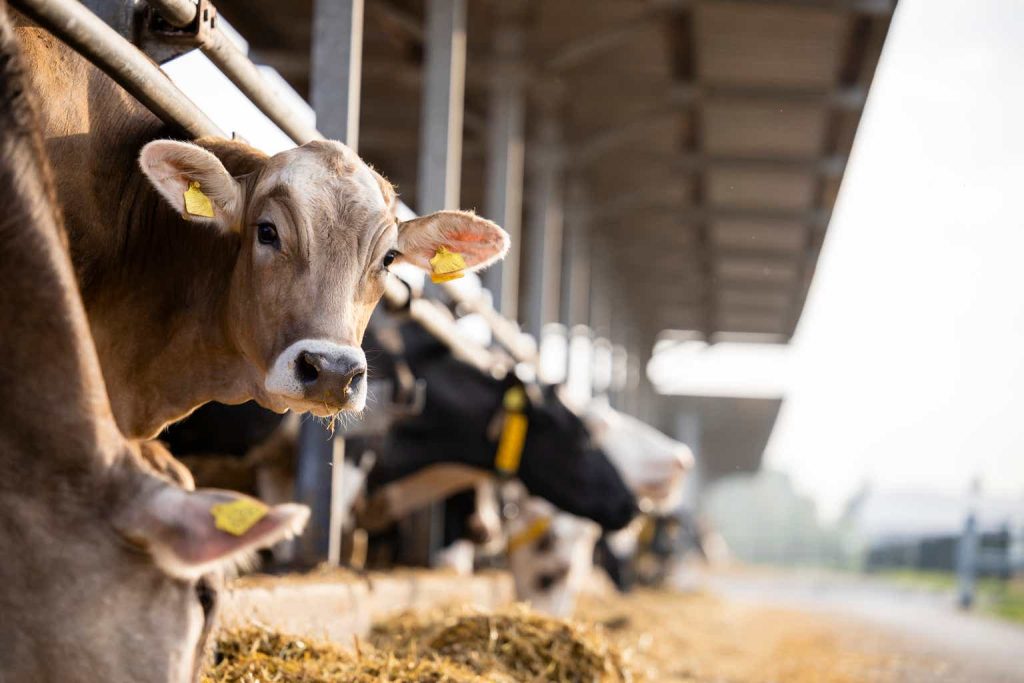 Betting The Farm On High-Yield Income From CLOs, Without Risking It All