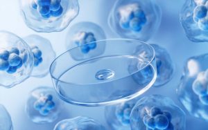 Mind Medicine: Q4 Of 2023 Data For GAD Makes This Worth A Look (NASDAQ:MNMD)