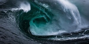 Tempest Therapeutics shares end wild week with 8% drop