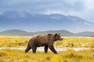 Bond Market Volatility May Hurt Stock Market Rally Expectations