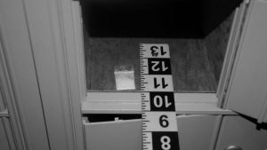 Photos released of cocaine found in White House this summer