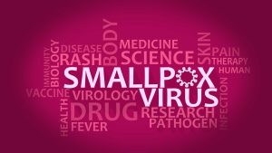 SIGA Technologies: Impressive Net Sales Guidance, FDA Approval, And Cheap (SIGA)