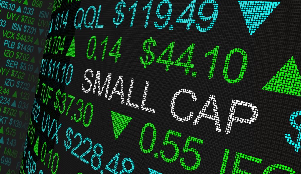 FMI Small Cap Equity Q3 2025 Commentary